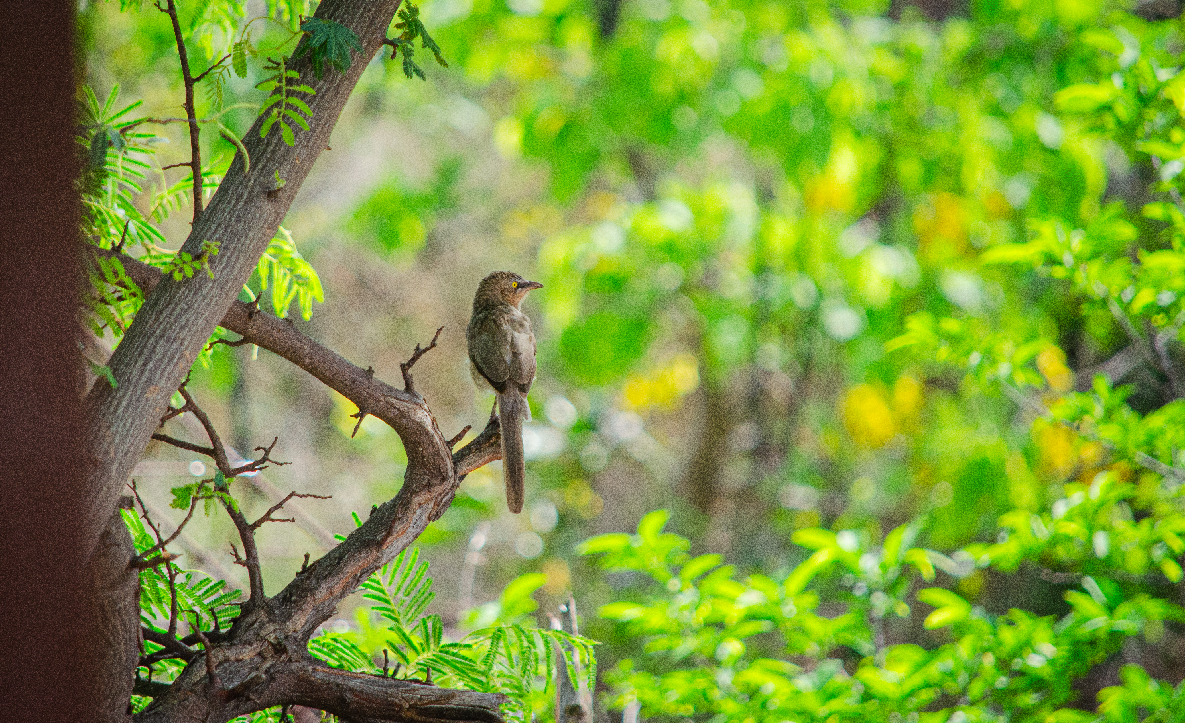 no alt description available